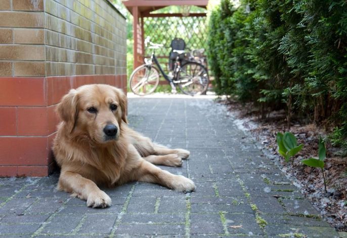 in Alt-Schadow mit Grill und Terrasse