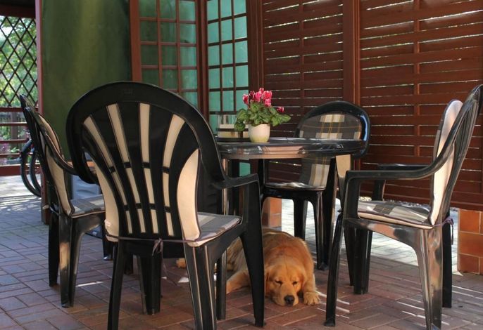 in Alt-Schadow mit Grill und Terrasse