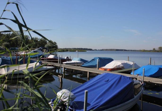 in Alt-Schadow mit Grill und Terrasse