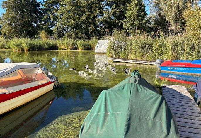 am Schwielochsee