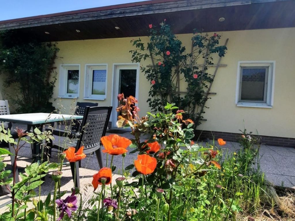 in Dahmen Terrasse und Grill