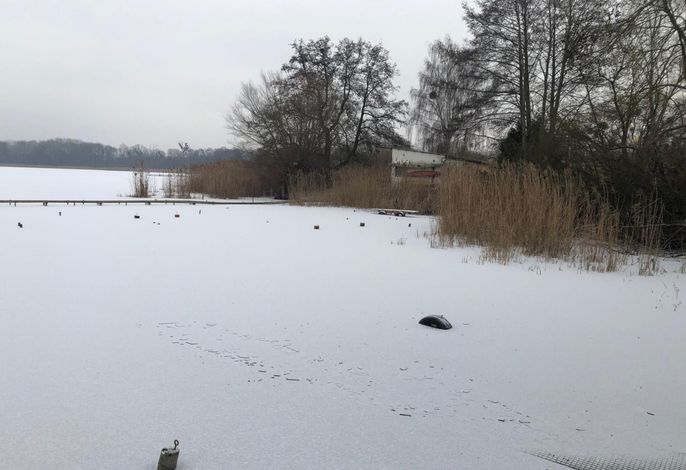 Bild 19