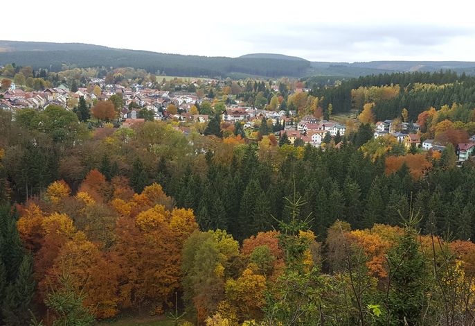 Bild 19