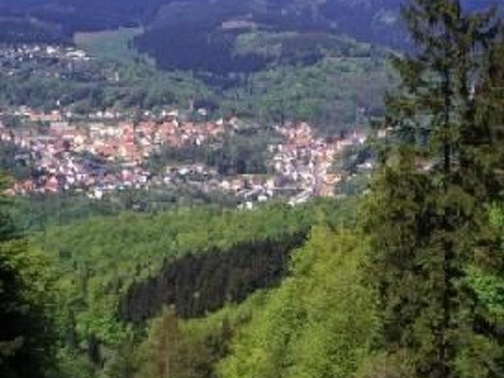 Gemütliche Ferienwohnung im Thüringer Wald