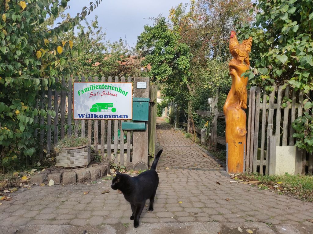 Garten-Ferienwohnung