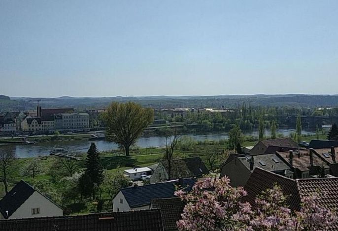 Bild 15