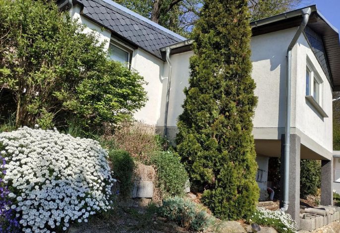 Bild 11