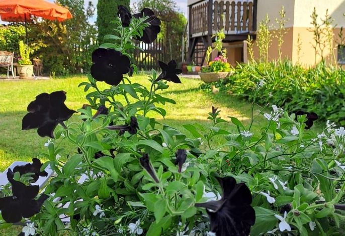 Schöne Ferienwohnung mit Garten und Grill
