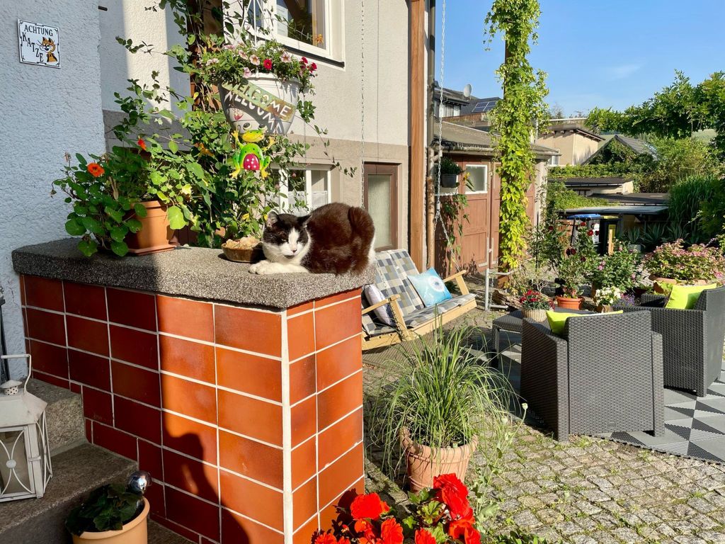 Zum Storchennest