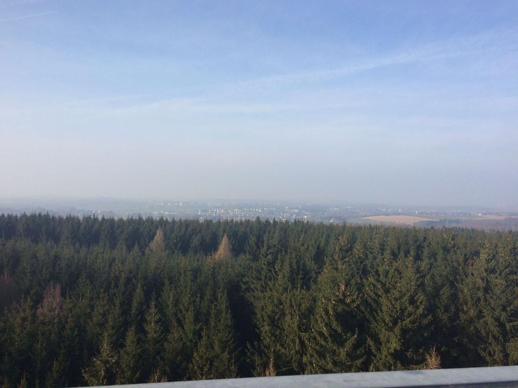 Waldhütte