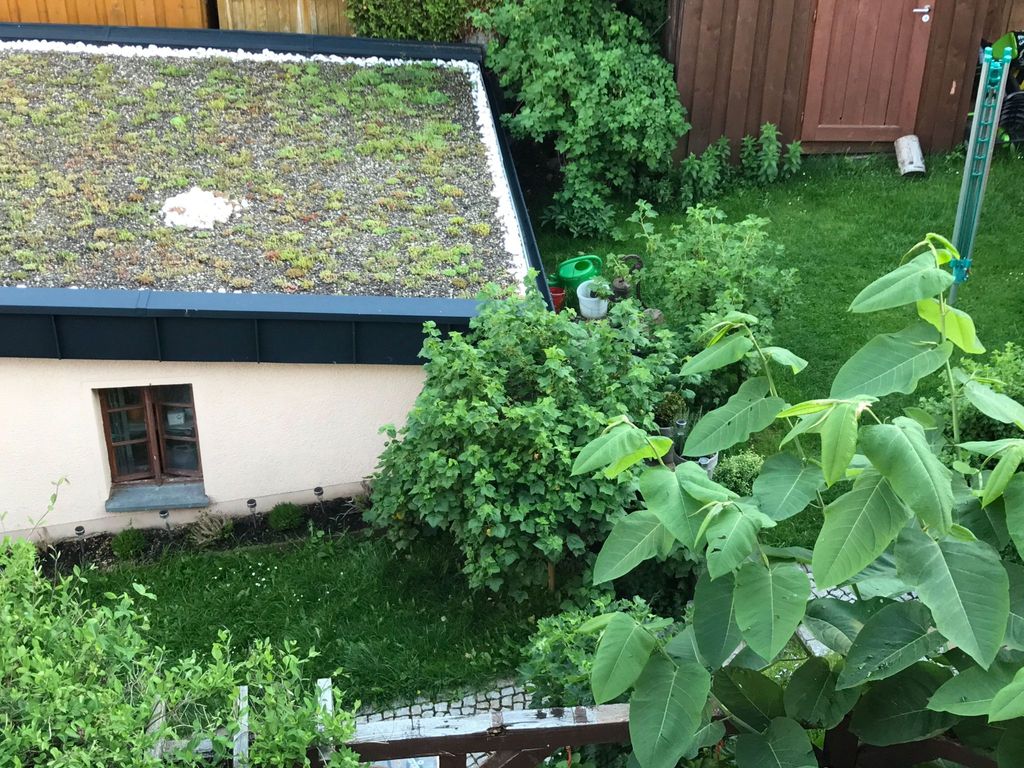 FerienwohnungBaumann