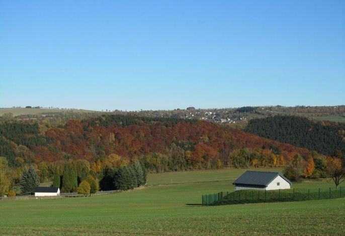 Bild 16
