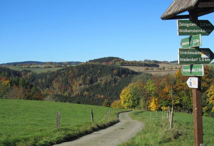 Bild 15