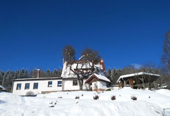 Bild 19