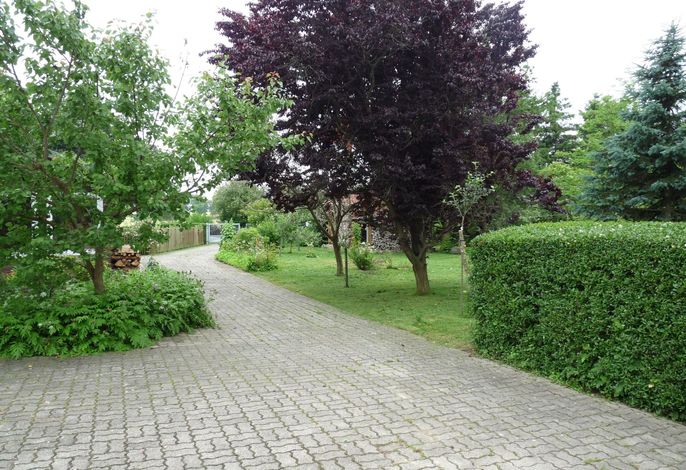 Bild 36