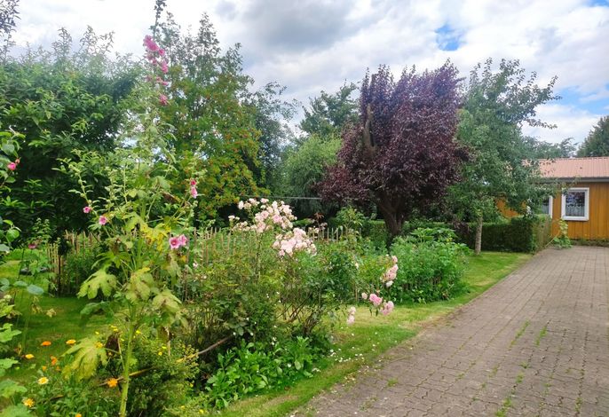 Bild 19