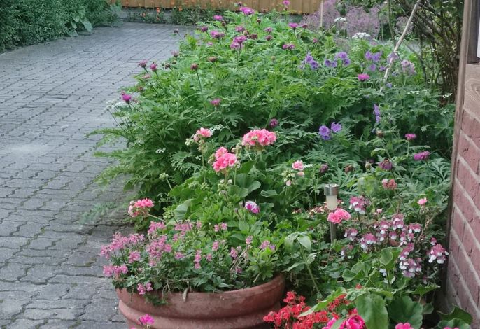 Bild 13