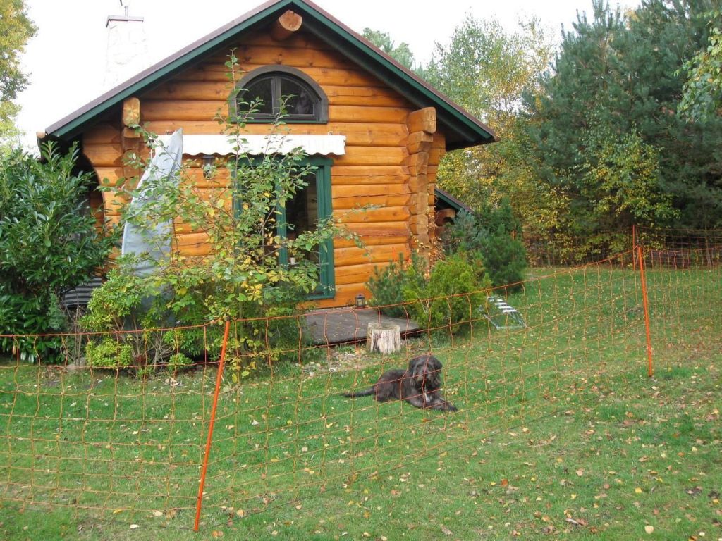 DatTraumhus