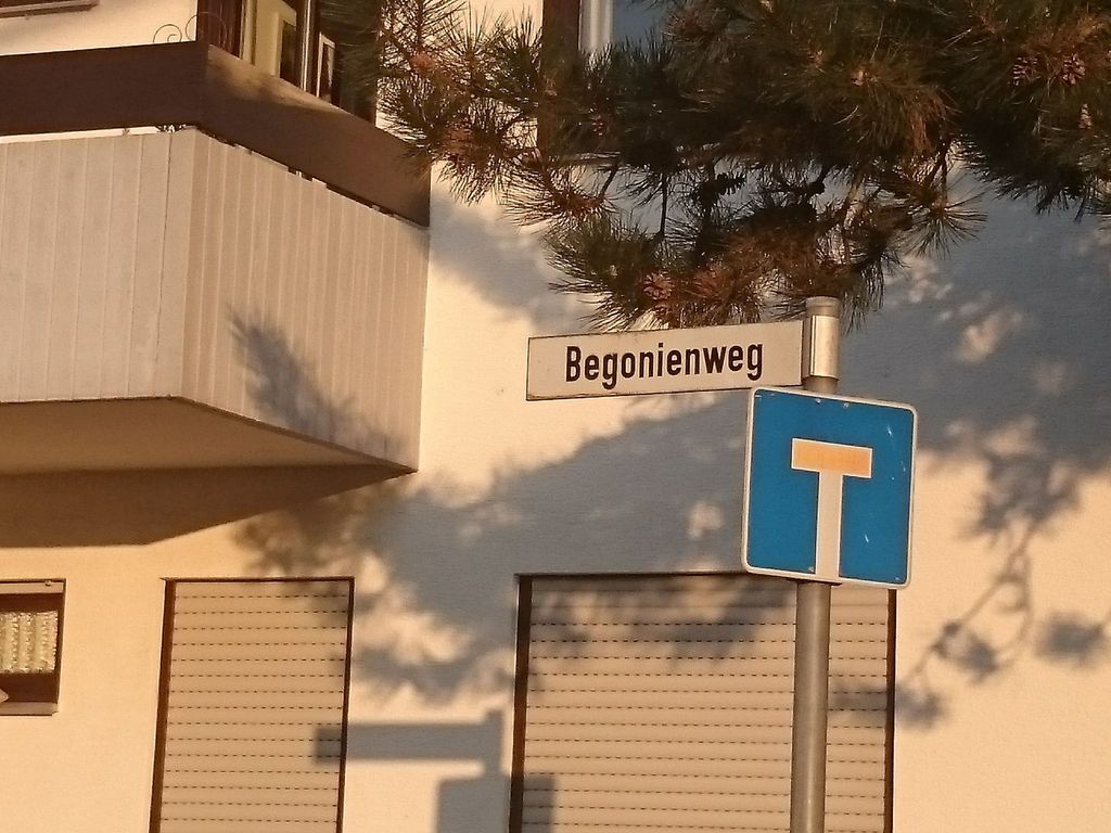 Apartment Laurence