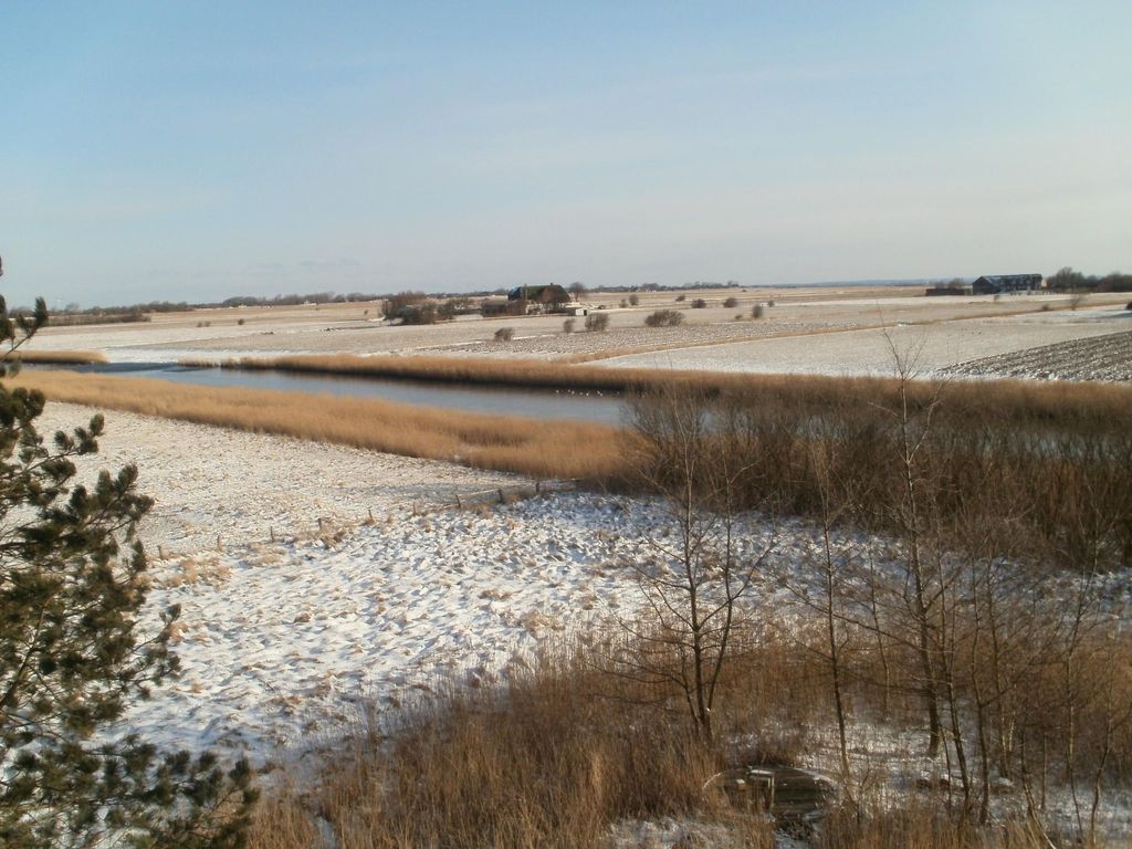 Wiesenblick