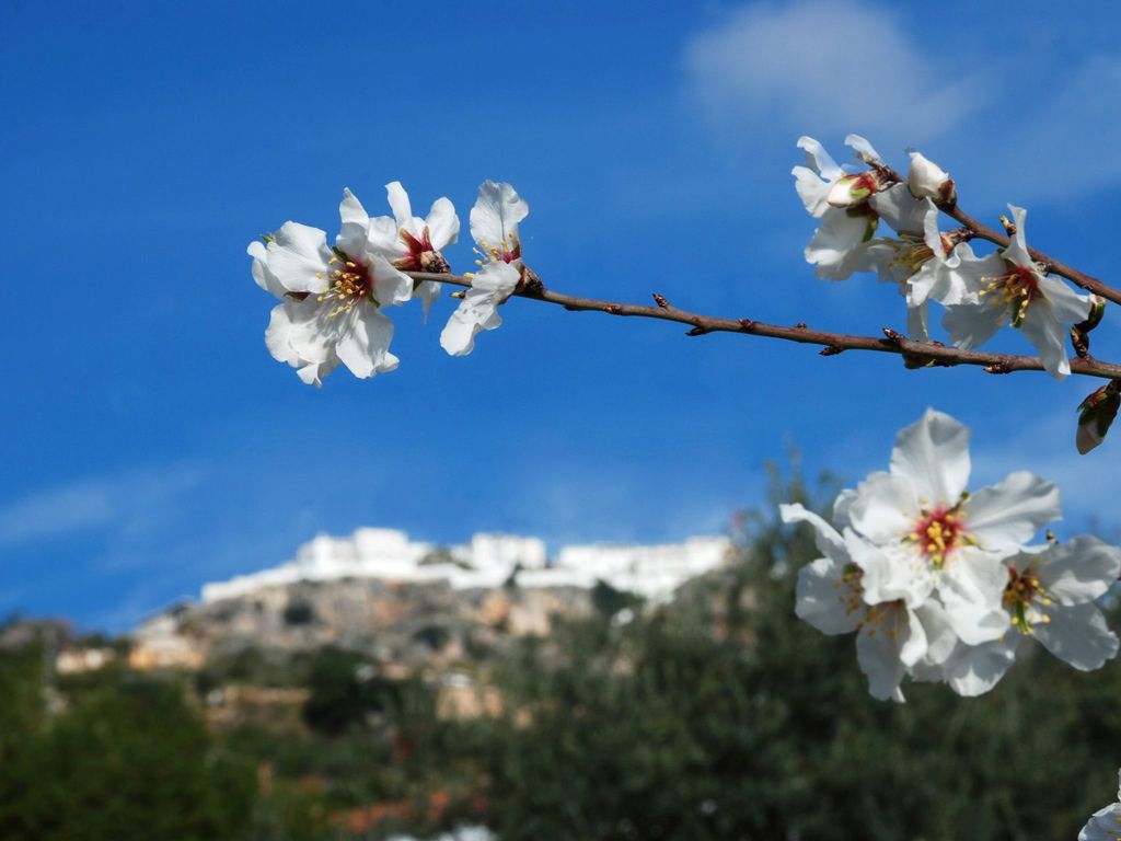 Finca "Casa Maria" mit Bergblick