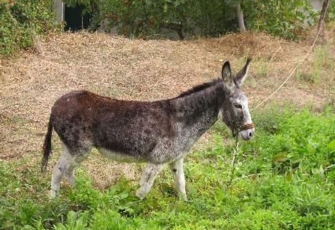 Bild 12