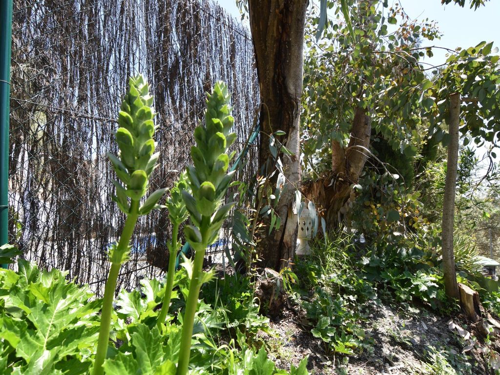 Finca El Corinto - Ein verwunschener Ort