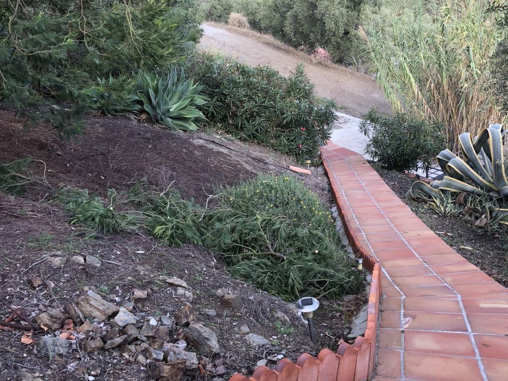 Finca "La Estrella de Cómpeta".