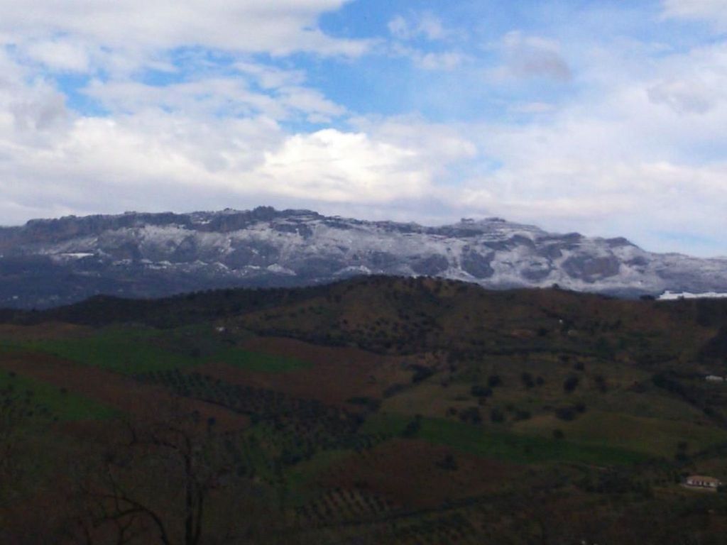 in Almogía mit Garten, Terrasse und gemeinschaft