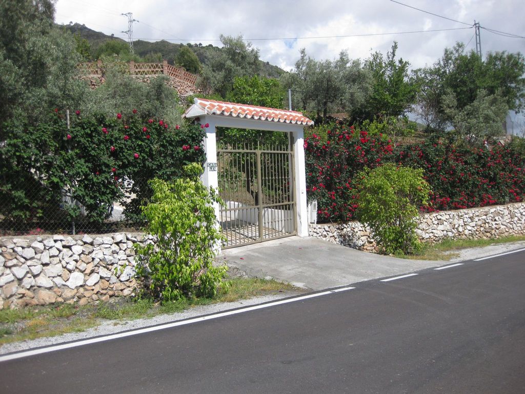 casa leo