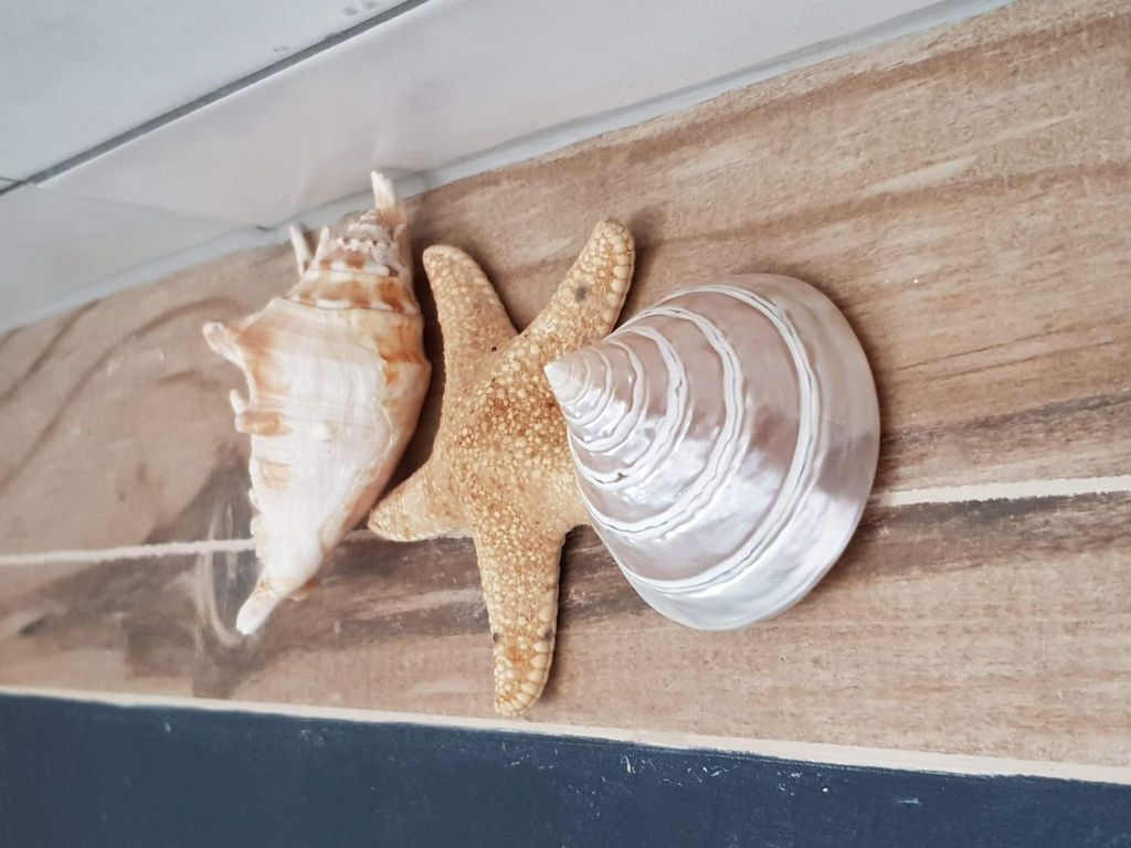 Der Ort des Lichts