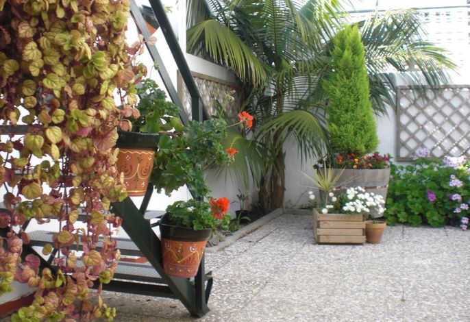 Bild 10