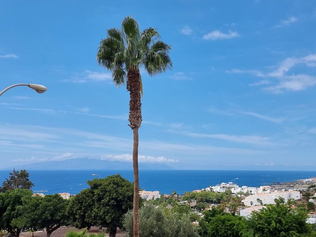 Apartment Ocean View