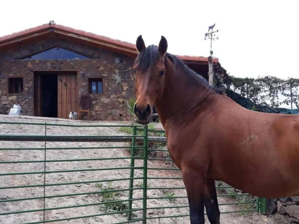 Finca "Sunny Scape Rural