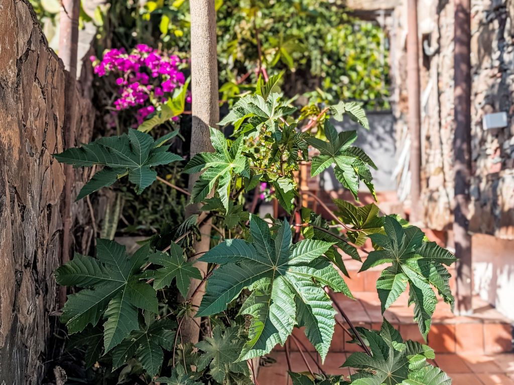 Finca Luz de Palmera