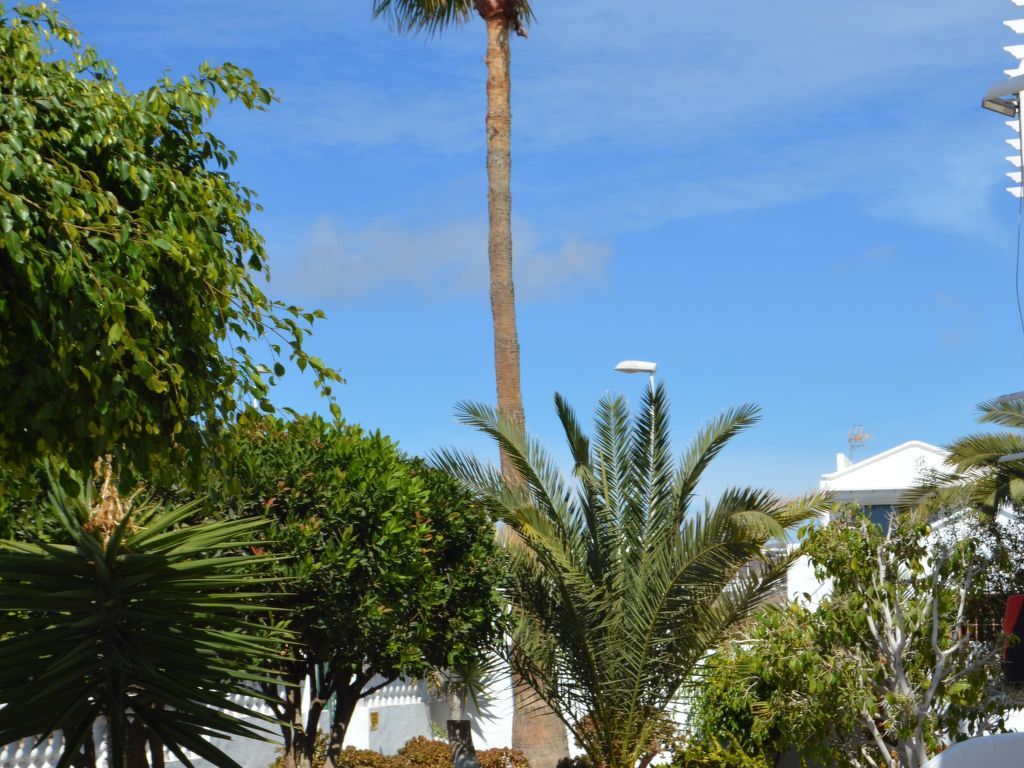 für 5 Personen ca. 65 m&sup2; in Puerto del Carmen, Lanzarote (Südküste von Lan
