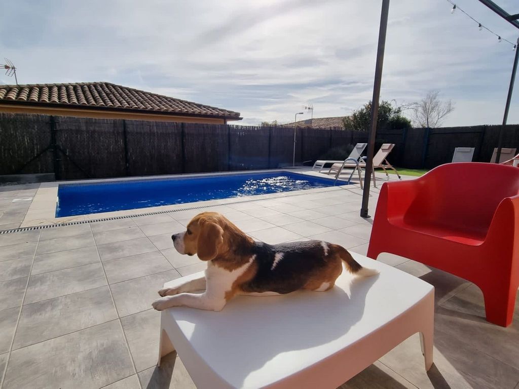 Modernes Einfamilienhaus mit Pool