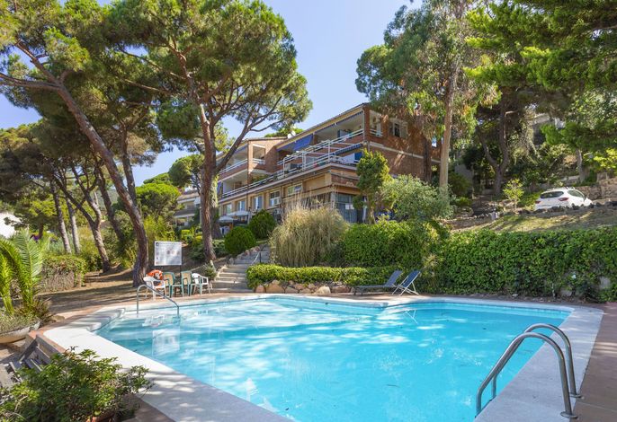 Buganvilla