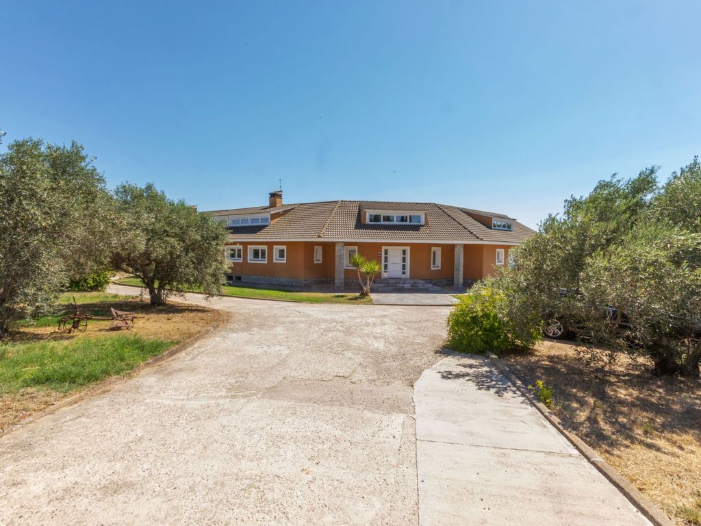 Finca el Olivar