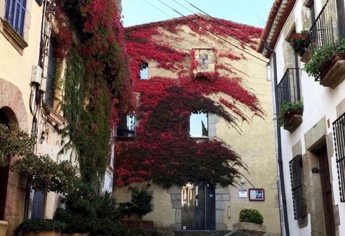 Bild 14