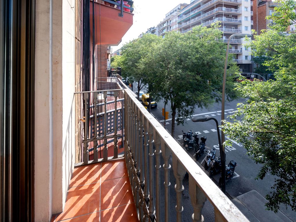Sants-Montjuïc: Avenida Madrid