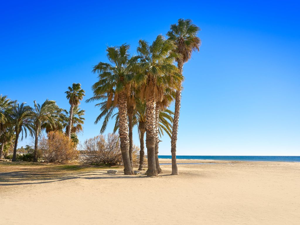 Goleta
