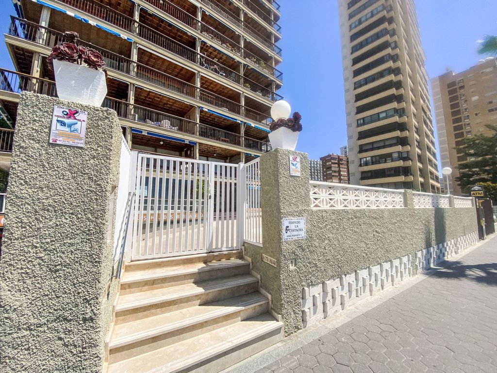 Estacha del mar