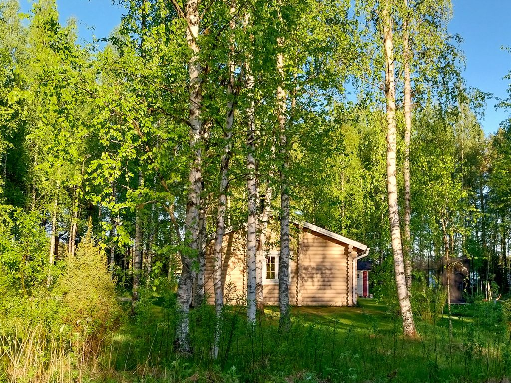 Kesäniitty