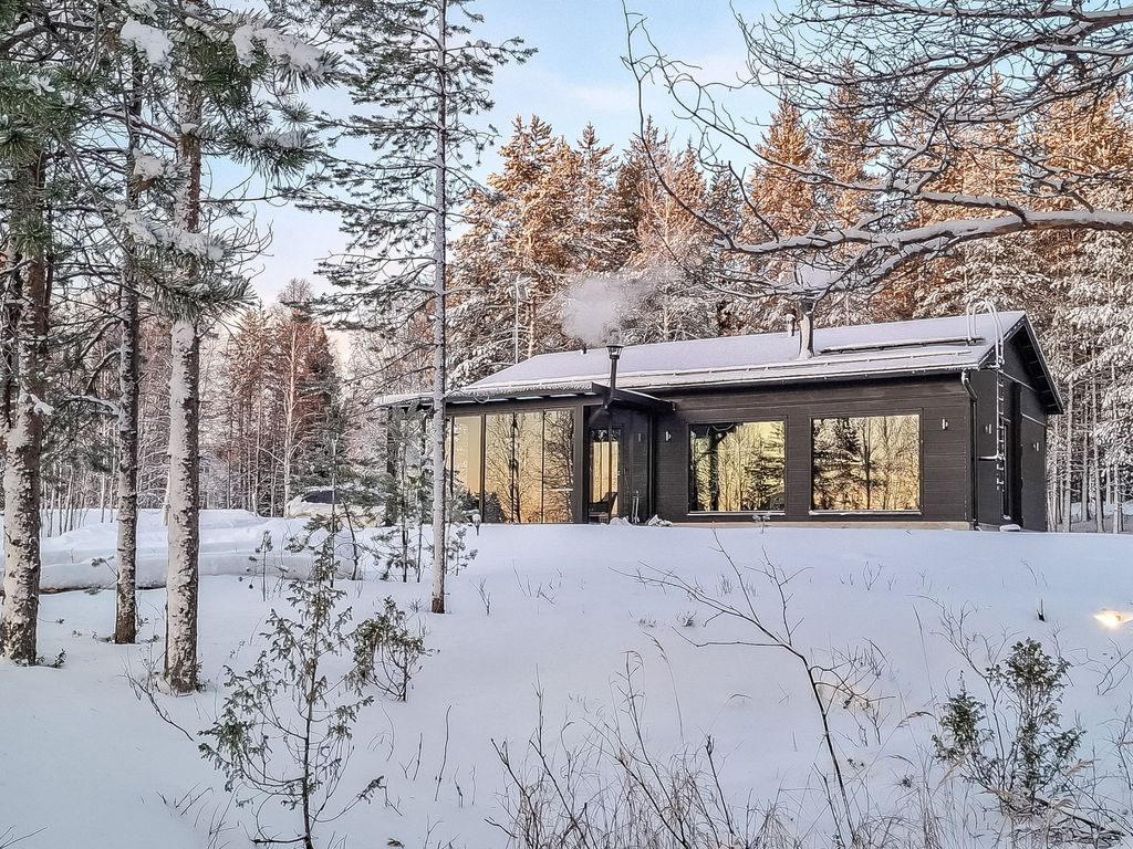Villa usva