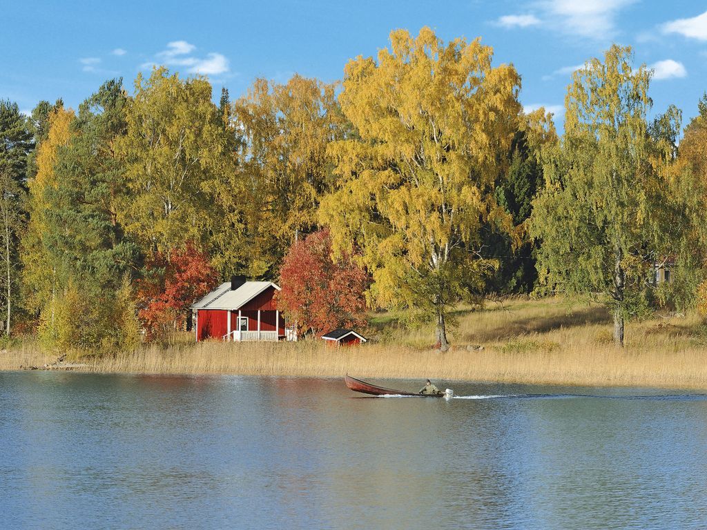 Villiruusu