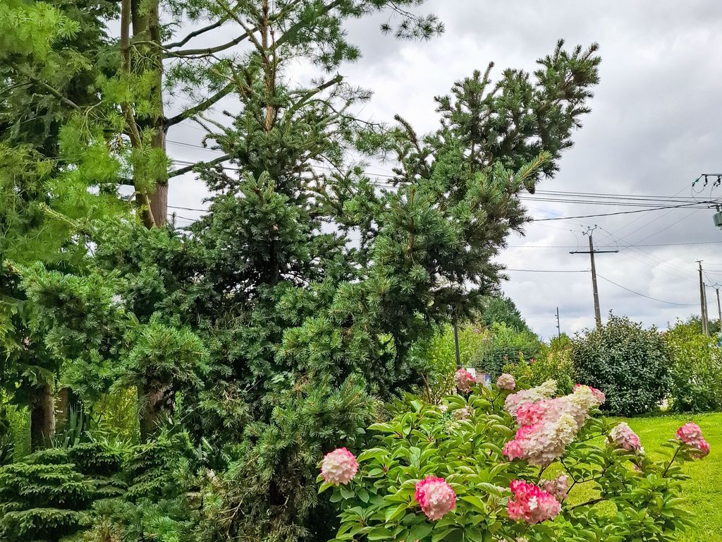 mit großem Garten in La Prée