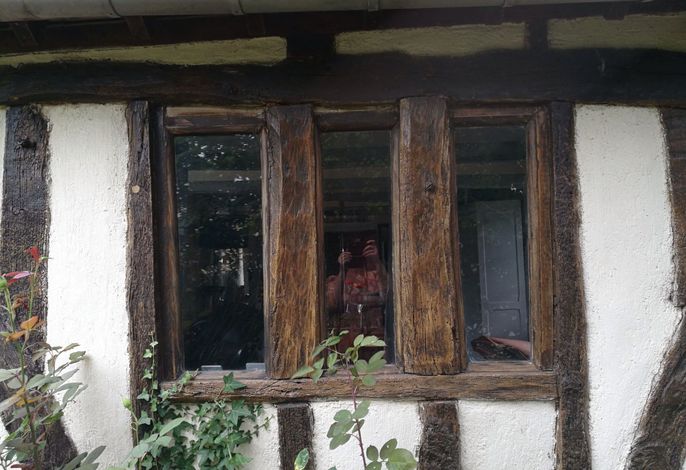Bild 7