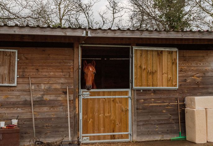 Hauptbild