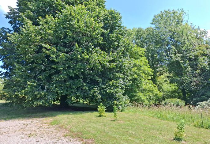 Bild 18